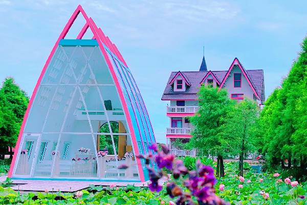 國泰世華cube卡週年慶 雲林輕旅行 水上城堡鹿角村 蜜蜂故事館 斗六老街一日 高雄 台南出發 Colatour 可樂旅遊