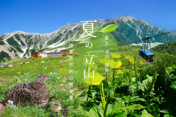 高雄直飛。名古屋。立山雪璧