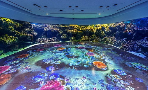 【搭高鐵．送門票】桃園Xpark水族館輕鬆遊1日