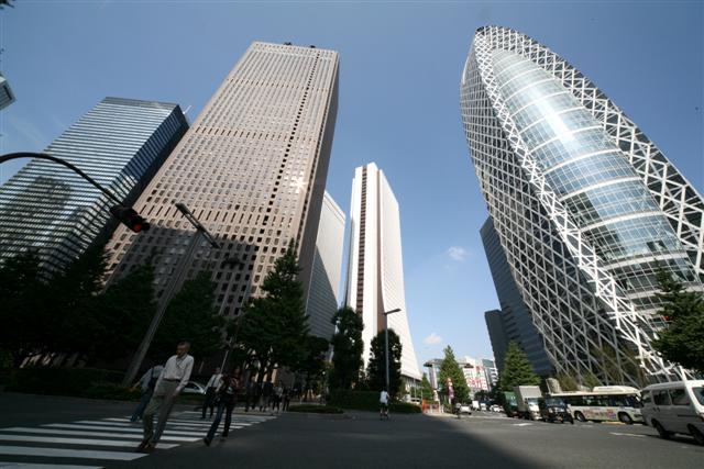 D5：新宿散策