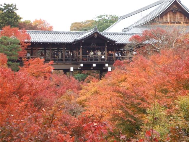 D1：東福寺