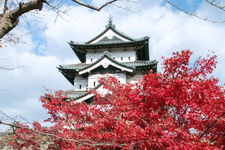 弘前城(賞楓名勝)