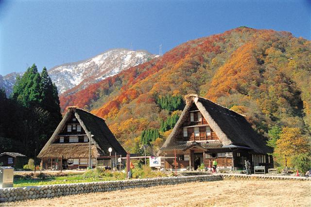 白川鄉合掌村