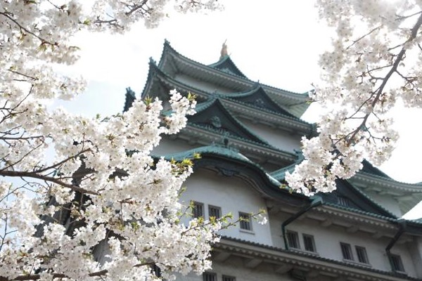 日本賞櫻名所