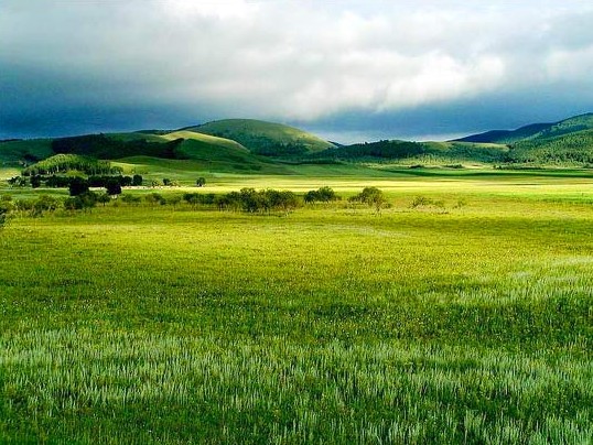 高鐵/動車開進草原