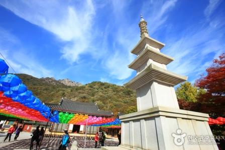 內藏山國立公園(賞楓)