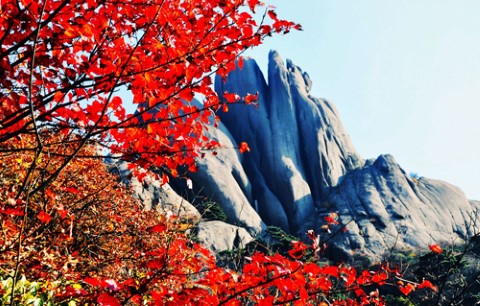 黃山-季節限定
