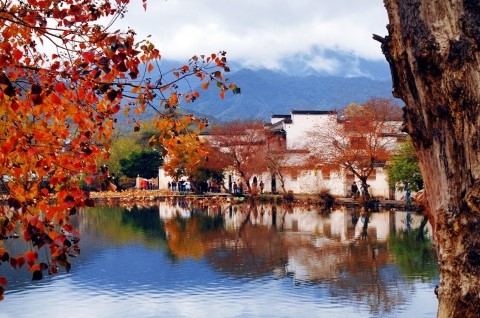 塔川-季節限定