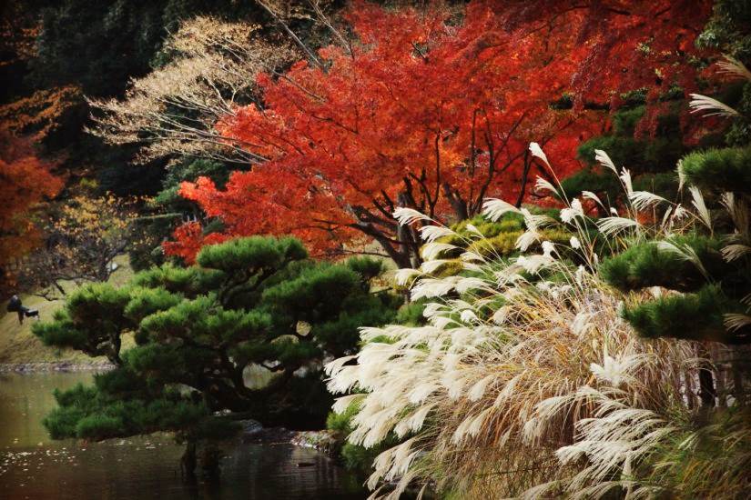 名城名園名景(紅葉)