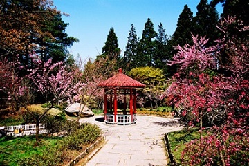 D4：廬山景區(含環保車)：花徑公園、錦繡谷、仙人洞、牯嶺街、含鄱口、蘆林湖、美廬別墅