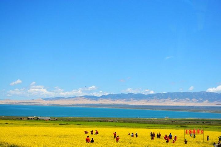 D3：青海湖