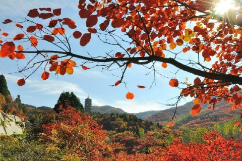 D4：紅葉谷生態文化旅遊區