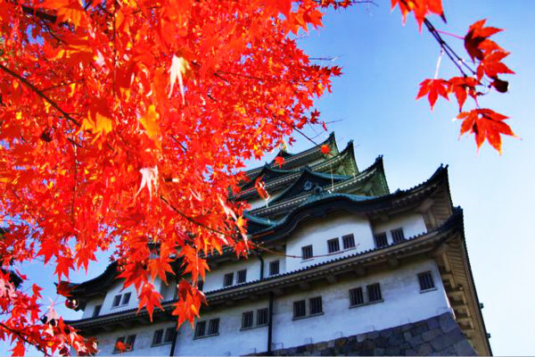 名古屋城(日本百大名城)