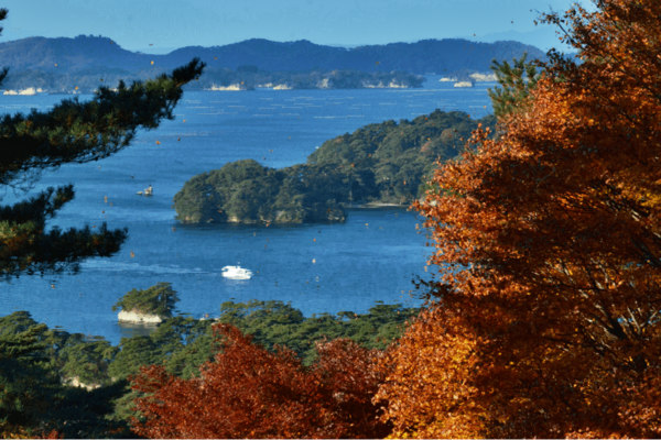 松島灣(五大堂+抹茶體驗)