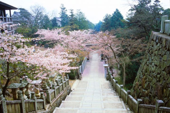 名園名景漫遊