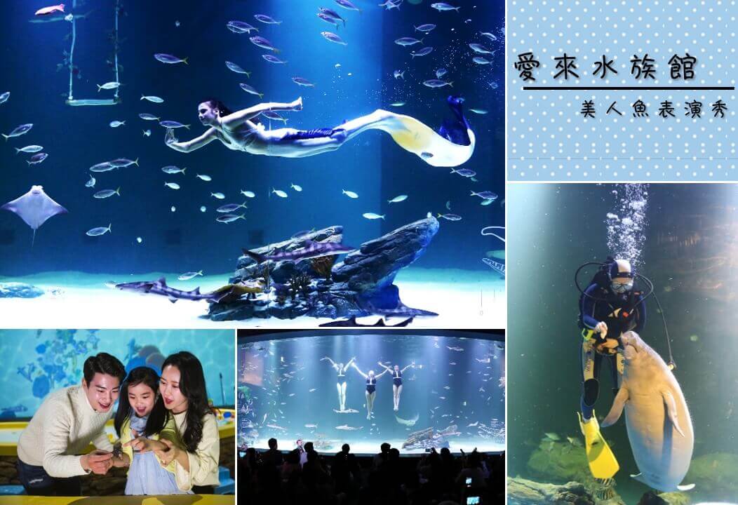 愛來水族館(美人魚表演秀)