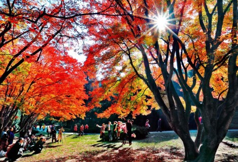 廬山風景區(世界遺產)