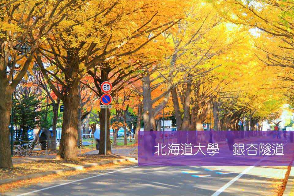 行程特色圖片