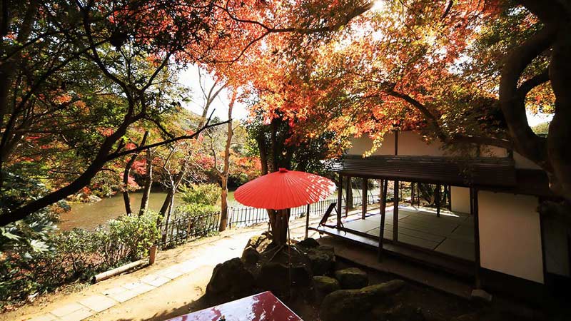 九州紅葉景點