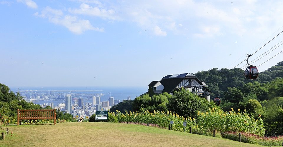 布引香草園(來回纜車)
