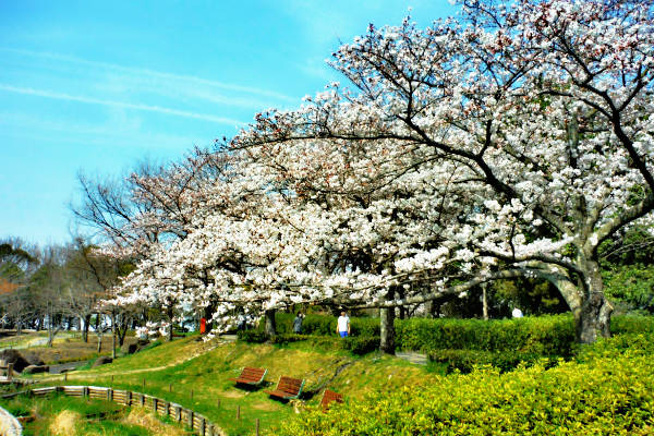 木曾三川公園