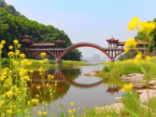 油菜花(季節限定)