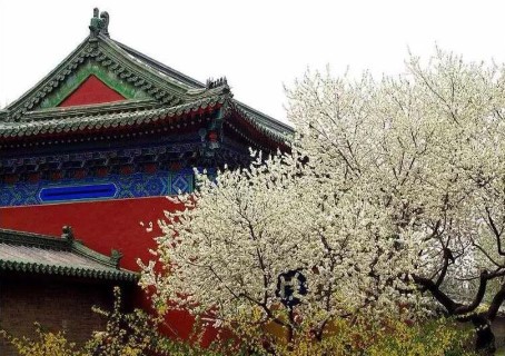 天壇(春季可賞丁香花...等)