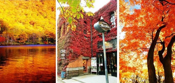 Khh誰在秋天撿到我的心 小樽函館山 紅葉說故事 海洋尼克斯 綠之風渡假村五日 含稅