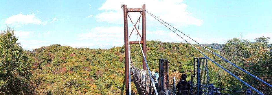 秋賞松山四國 早去晚回 愛媛採果樂 祖谷葛藤橋 淡路島花棧敷 名園名景名湯五日 含稅 Colatour 可樂旅遊