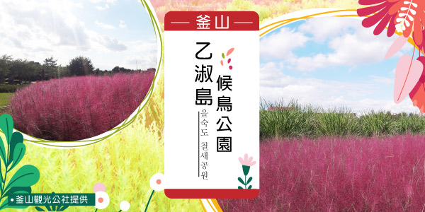 D5：乙淑島侯鳥公園(粉黛亂子草)秋季限定