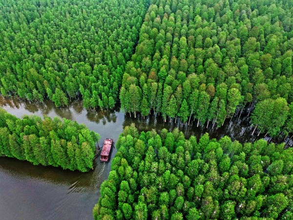 夢裡水鄉景區(含電瓶車、遊船)