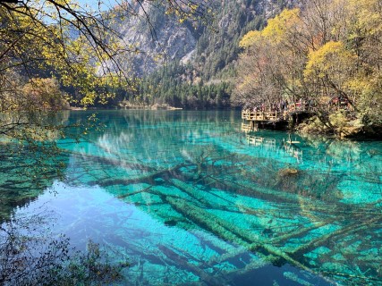 五花海-D4：九寨溝世界自然遺產保護國家公園（含公共觀光車往返）：日則溝、則查窪溝、樹正溝