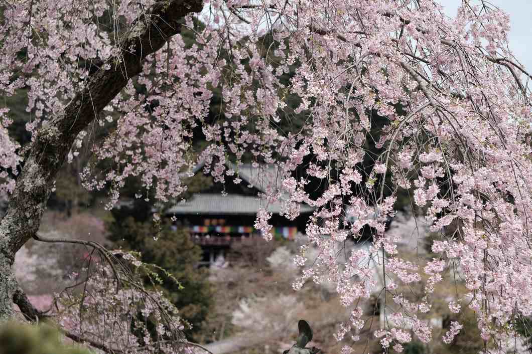 行程特色圖片