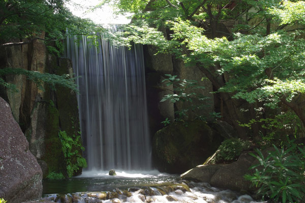 D4：德川園