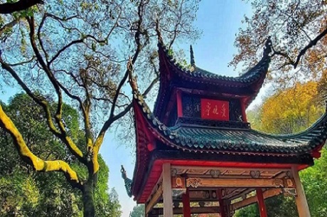 D7：愛晚亭