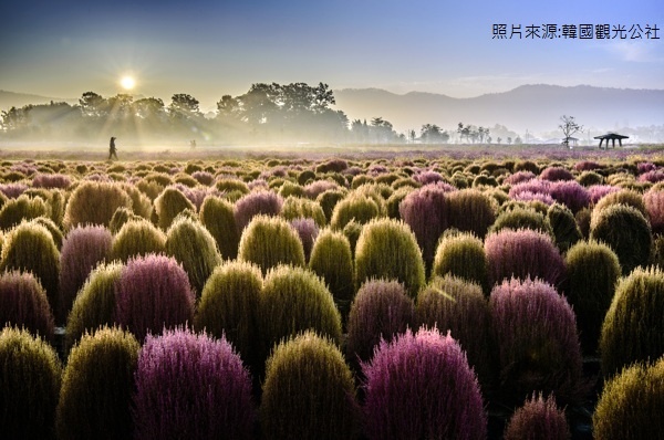 行程特色圖片