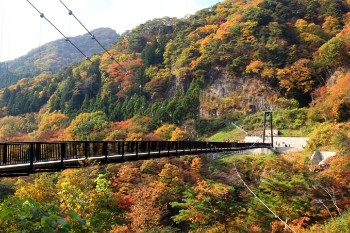 楓紅鬼怒川
