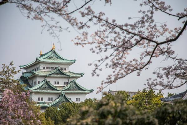 ©名古屋城総合事務所-D3：日本三大名城－名古屋城～本丸御殿