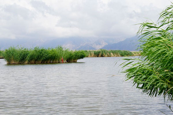 哈素海+成吉思汗陵(含聖燈祝頌儀式)