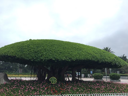 D2：南湖名樹博覽園
