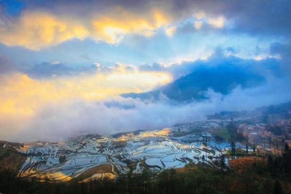 D6：多依樹景區