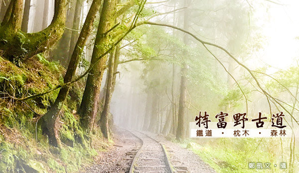 【特富野古道】