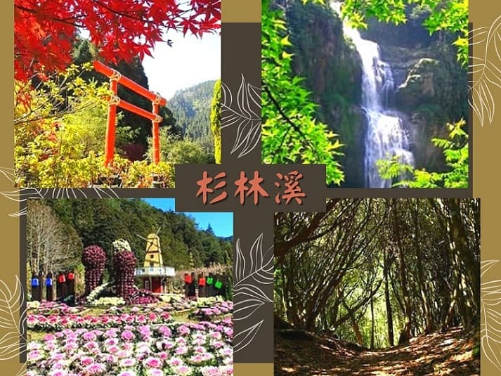 杉林溪森林生態渡假園區(紫藤牡丹，繽紛綻放)