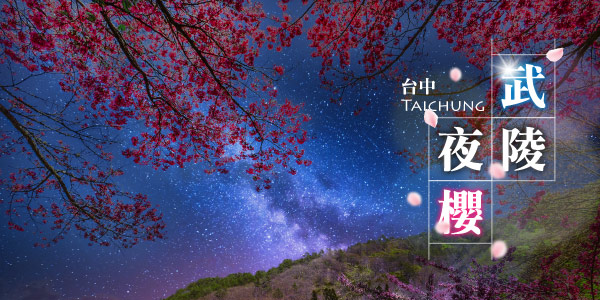 武陵農場夜櫻｜全台最夢幻的春季限定盛宴