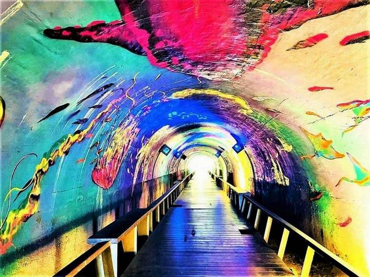 🚄高鐵高雄假期