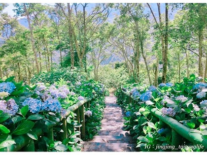 太麻里青山農場