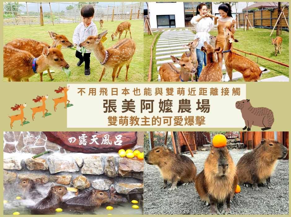 【張美阿嬤農場】