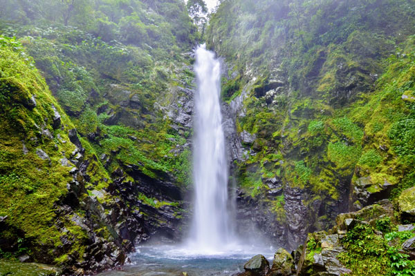 【新寮瀑布步道】