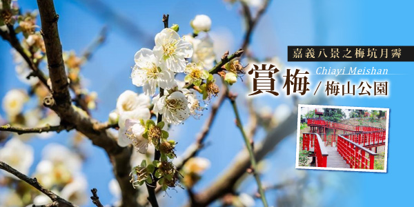 嘉義 梅好時光 空氣圖書館 梅山公園賞梅 太平雲梯老街 總鋪師梅子雞一日 高雄 台南出發 Colatour 可樂旅遊