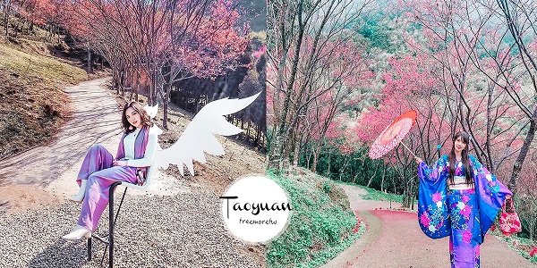 D1：翠墨莊園(不含門票，請自行購買)